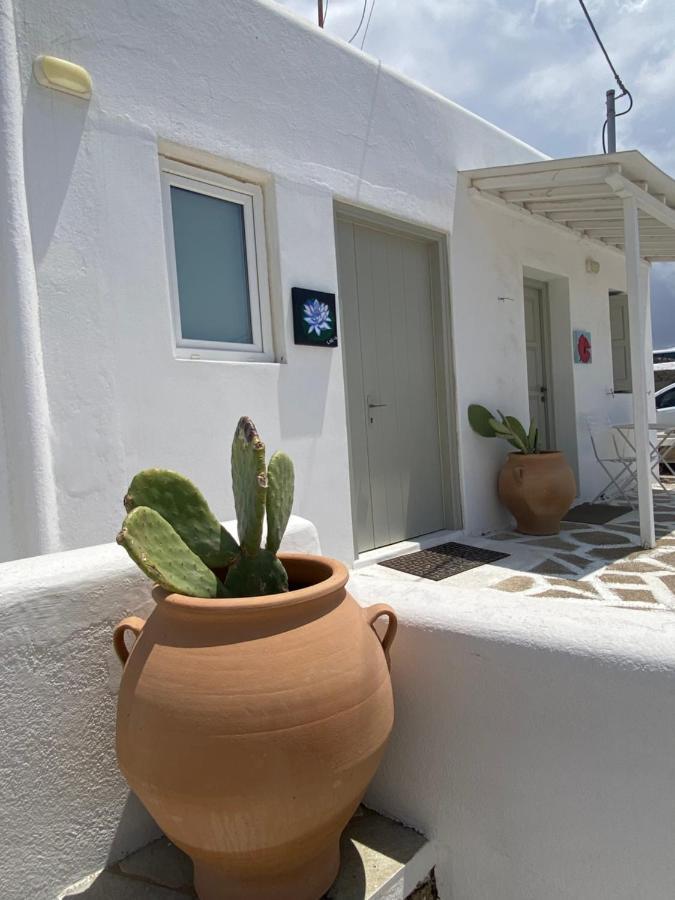 Sing And Blossom Accommodation Mykonos Town Luaran gambar